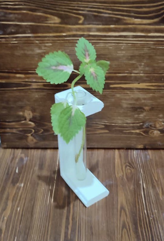 IMG_5040 استند گلدان